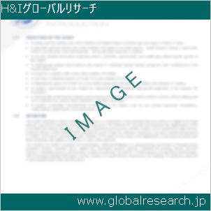グローバルリサーチ調査レポートのイメージ